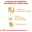 Royal Canin - Croquettes Bichon Frisé pour Chien Adulte - 1,5Kg Indicateur image numéro 5