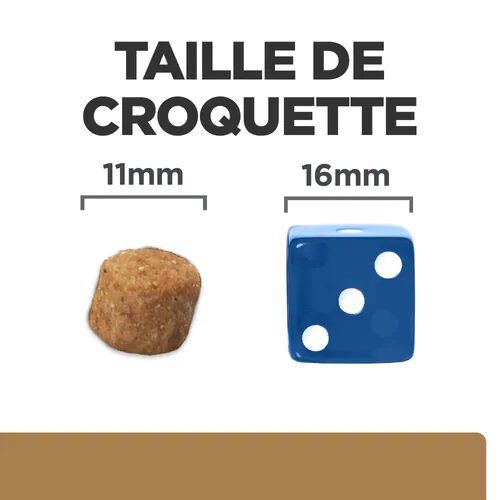 Hill's Prescription Diet- Croquettes Diet J/D Mobility pour Chiens - 12Kg Image num&eacute;ro 3