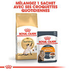 Royal Canin - Croquettes Siamese Adult pour Chats - 2Kg image number null