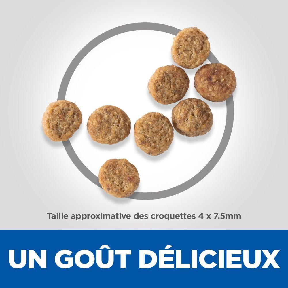 Hill's Science Plan - Croquettes Adult Light Small & Mini Pour Petit Chien Au Poulet  -  1,5kg Image num&eacute;ro 10