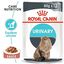 Royal Canin - Sachets Urinary Care en Sauce pour Chat - 12x85g Indicateur image numéro 13