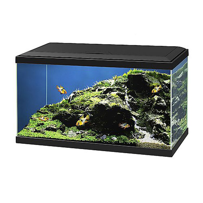 Ciano - Aquarium 60 LED - Noir image number null
