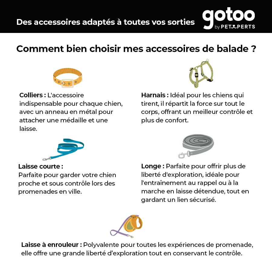 Gotoo - Collier L&eacute;vrier Zig-Zag pour Chien - 36/50cm Image num&eacute;ro 6