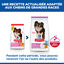 Hill's Science Plan - Croquettes Adult Light Small & Mini Pour Petit Chien Au Poulet  -  1,5kg Indicateur image num&eacute;ro 5