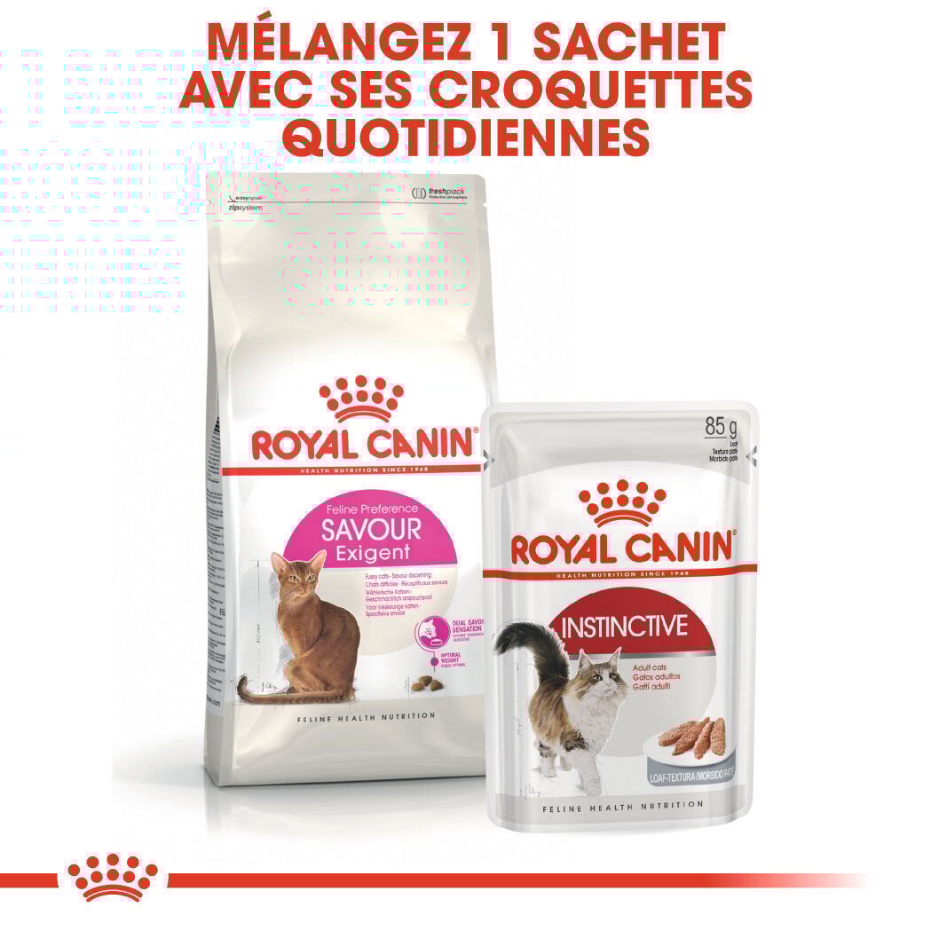 Royal Canin - Croquettes Savour Exigent pour Chats Difficiles - 10Kg Image num&eacute;ro 5