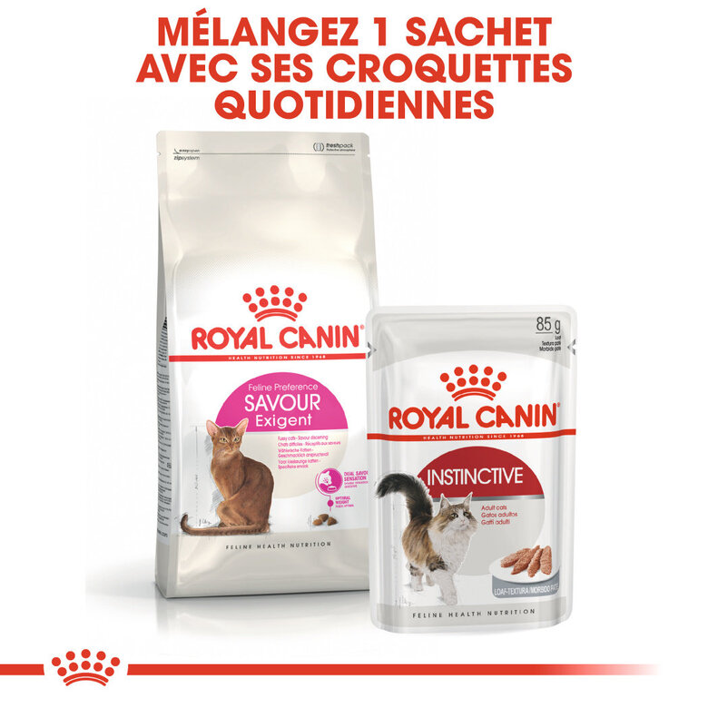 Royal Canin - Croquettes Savour Exigent pour Chats Difficiles - 10Kg Image numéro 5 Royal Canin - Croquettes Savour Exigent pour Chats Difficiles - 10Kg Image numéro 5