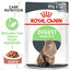 Royal Canin - Sachets Digestive Care sauce pour Chat - 12x85g Indicateur image numéro 1