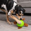 Outward Hound - Jouet Balle à Renifler Dog Snuffle N' Treat - 12,7cm Indicateur image numéro 6