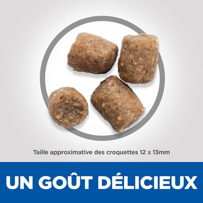Hill's Science Plan - Adult Healthy Mobility Croquettes Pour Chien Au Poulet  - 12kg Image numéro 4 Hill's Science Plan - Adult Healthy Mobility Croquettes Pour Chien Au Poulet  - 12kg Image numéro 4