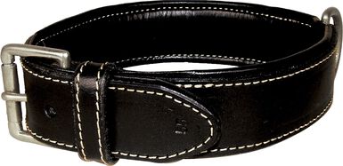 Bobby - Collier Classique Haute Finition Noir pour Chiens - 70cm