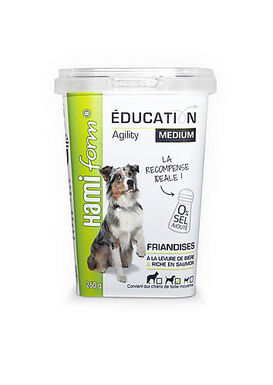 Hamiform - Friandises Education Medium au Saumon - 260g
