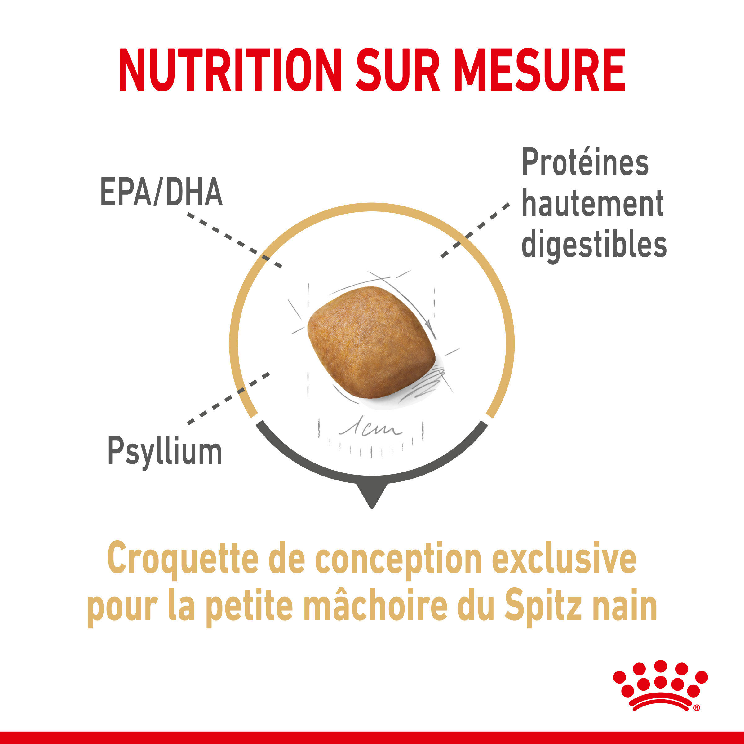 Royal Canin - Croquettes Adult Spitz Nain pour Chien - 1,5Kg Image num&eacute;ro 3