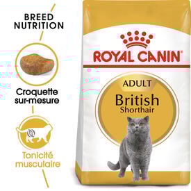 Royal Canin - Croquettes BRITISH SHORTHAIR ADULT Pour Chat