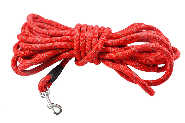 Bobby - Longe Walk Rouge pour Chiens - 5M image number null