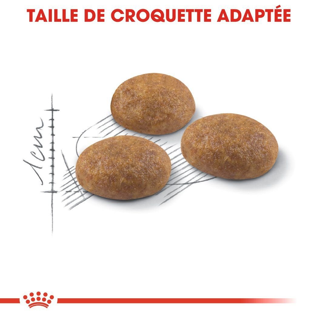 Royal Canin - Croquettes Outdoor Active Life pour Chat - 2Kg Image num&eacute;ro 5