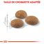 Royal Canin - Croquettes Outdoor Active Life pour Chat - 2Kg Indicateur image numéro 5