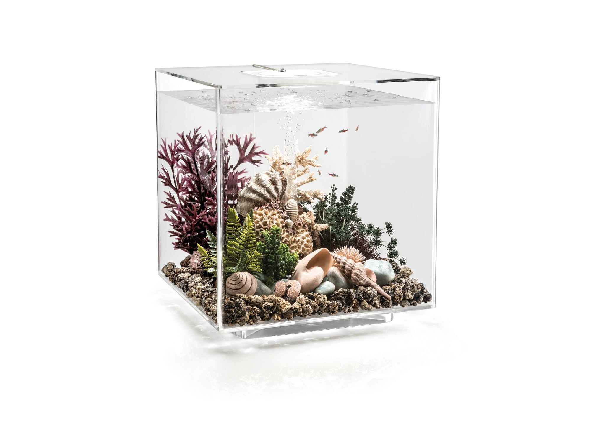 biOrb - Aquarium Cube - 60 mcr transparent Image num&eacute;ro 1