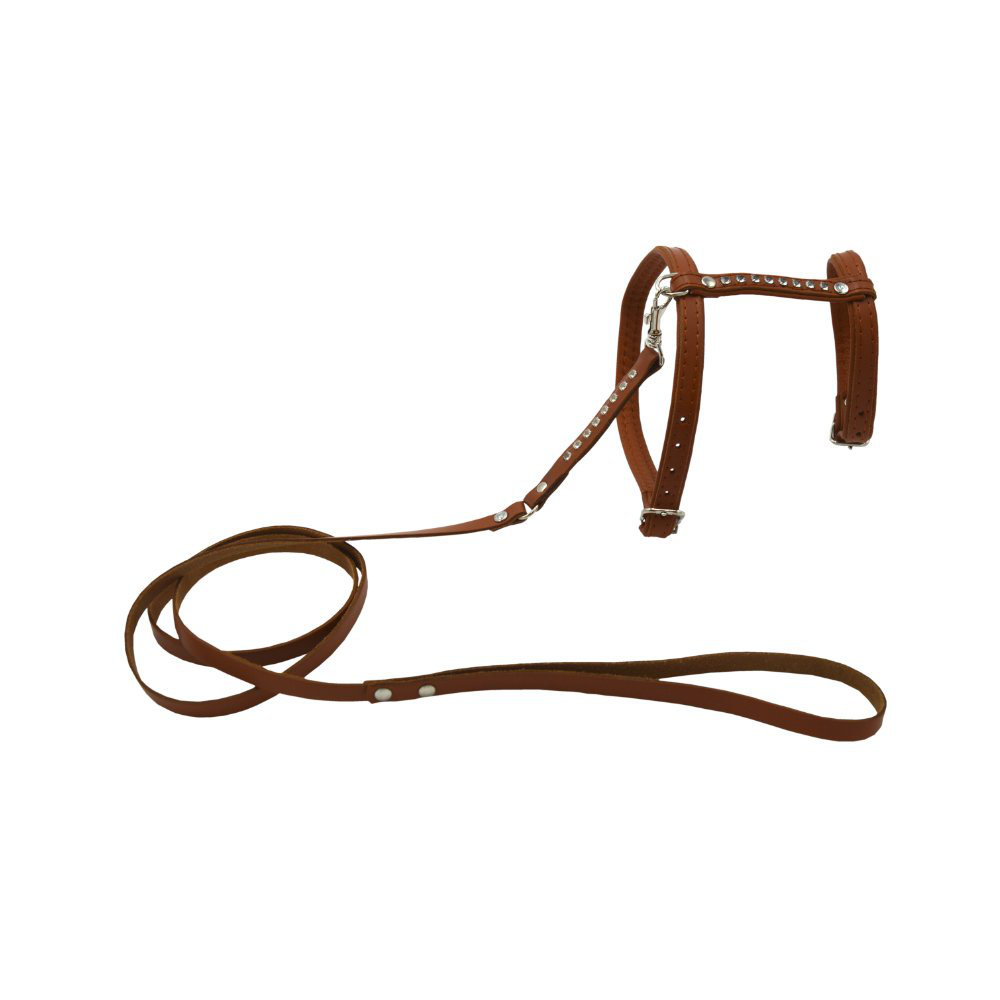 Comme Un Roi - Harnais et Laisse Cuir So Chic Caramel pour Chat - TU Image num&eacute;ro 1