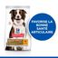 Hill's Science Plan - Adult Healthy Mobility Croquettes Pour Chien Au Poulet  - 12kg Indicateur image numéro 2