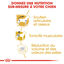 Royal Canin - Croquettes Teckel Adult - 7,5Kg Indicateur image numéro 3