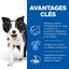 HILL'S SCIENCE PLAN Aliment pour Chien Adulte Mature 7+ Medium Senior Vitality au Poulet et au Riz 12kg Indicateur image numéro 3