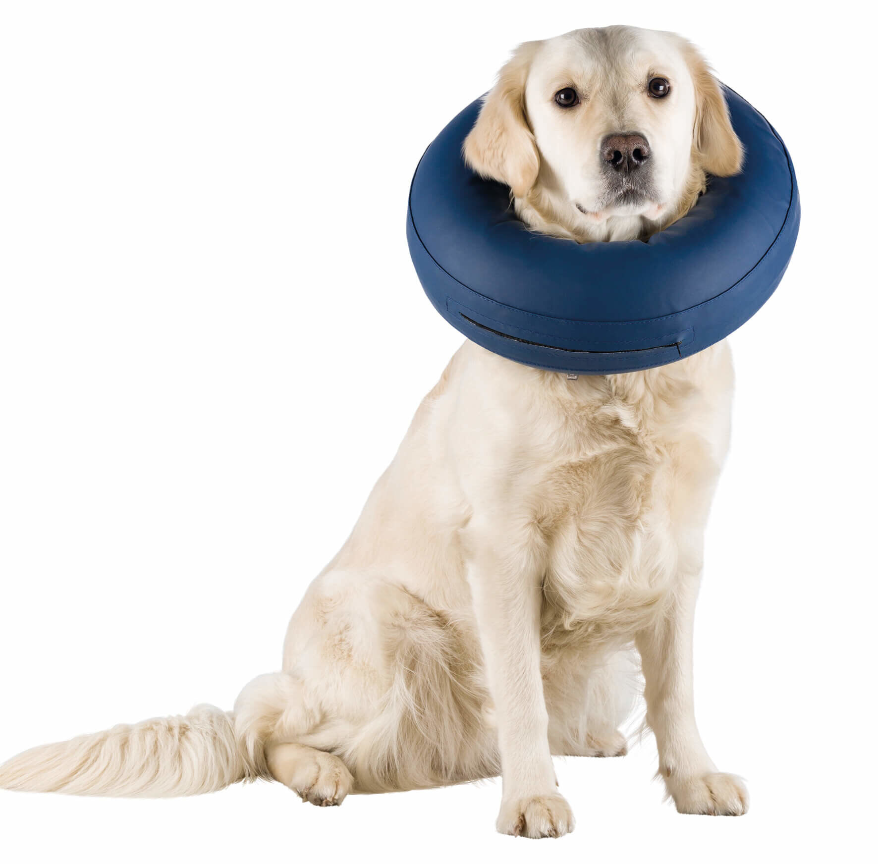 Trixie - Collerette De Protection Gonflable pour Chien - L-XL Image num&eacute;ro 2