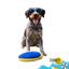 Summer Vibes - Peluche Ballon Ovale Sonore et Flottante pour Chien - 19cm Indicateur image num&eacute;ro 1