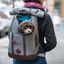 Kurgo - Sac à Dos K9 Rucksack pour Chiens - Gris Indicateur image numéro 4
