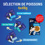 Felix - Soupes en sachets Sélection de Poissons pour Chats - 6x48g Indicateur image numéro 5