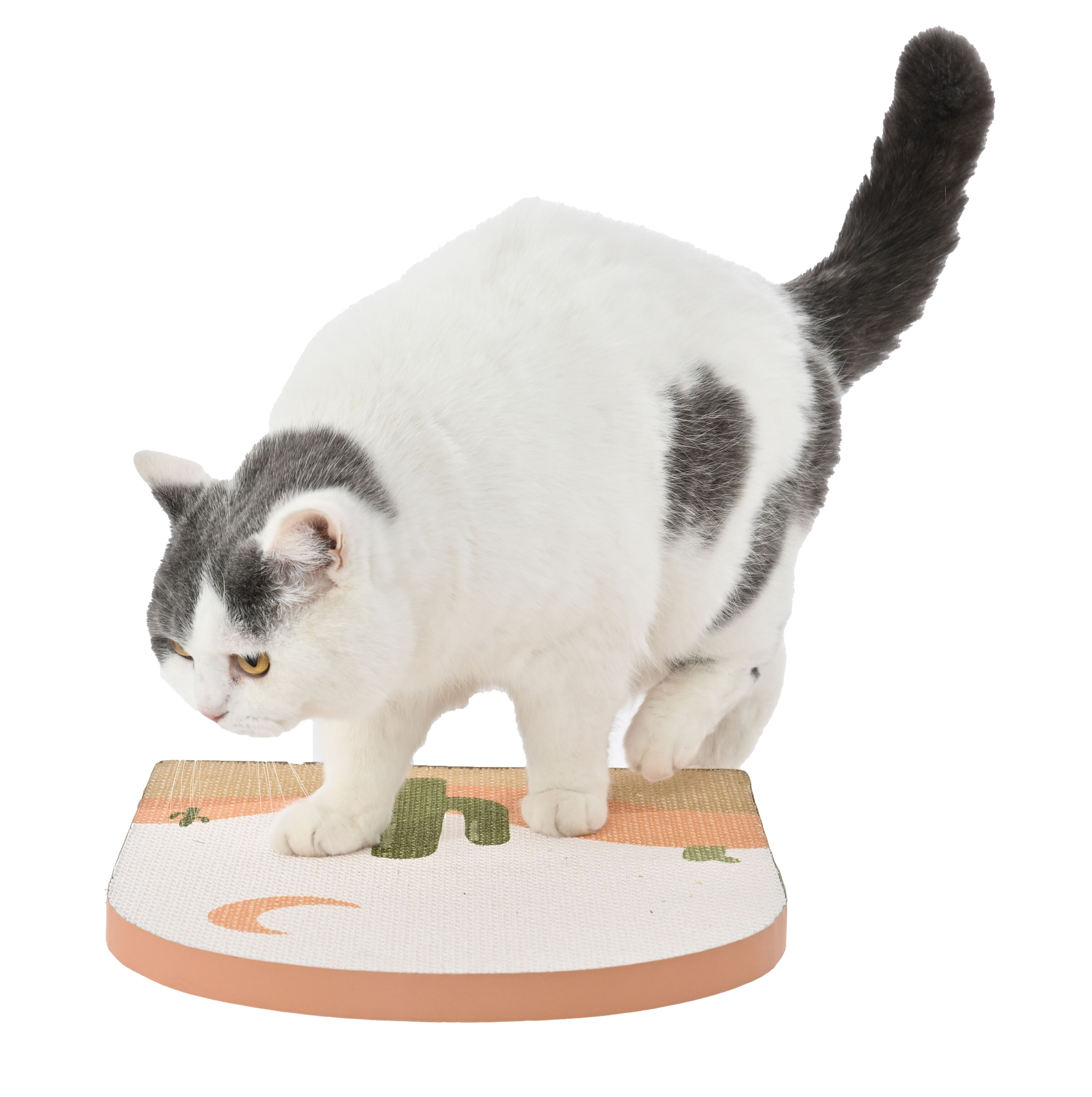 Leeby - Griffoir Desert Carton pour Chats - 43x32cm Image num&eacute;ro 3