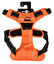 Bobby - Harnais Rando Walk Orange pour Chiens - S Indicateur image numéro 1