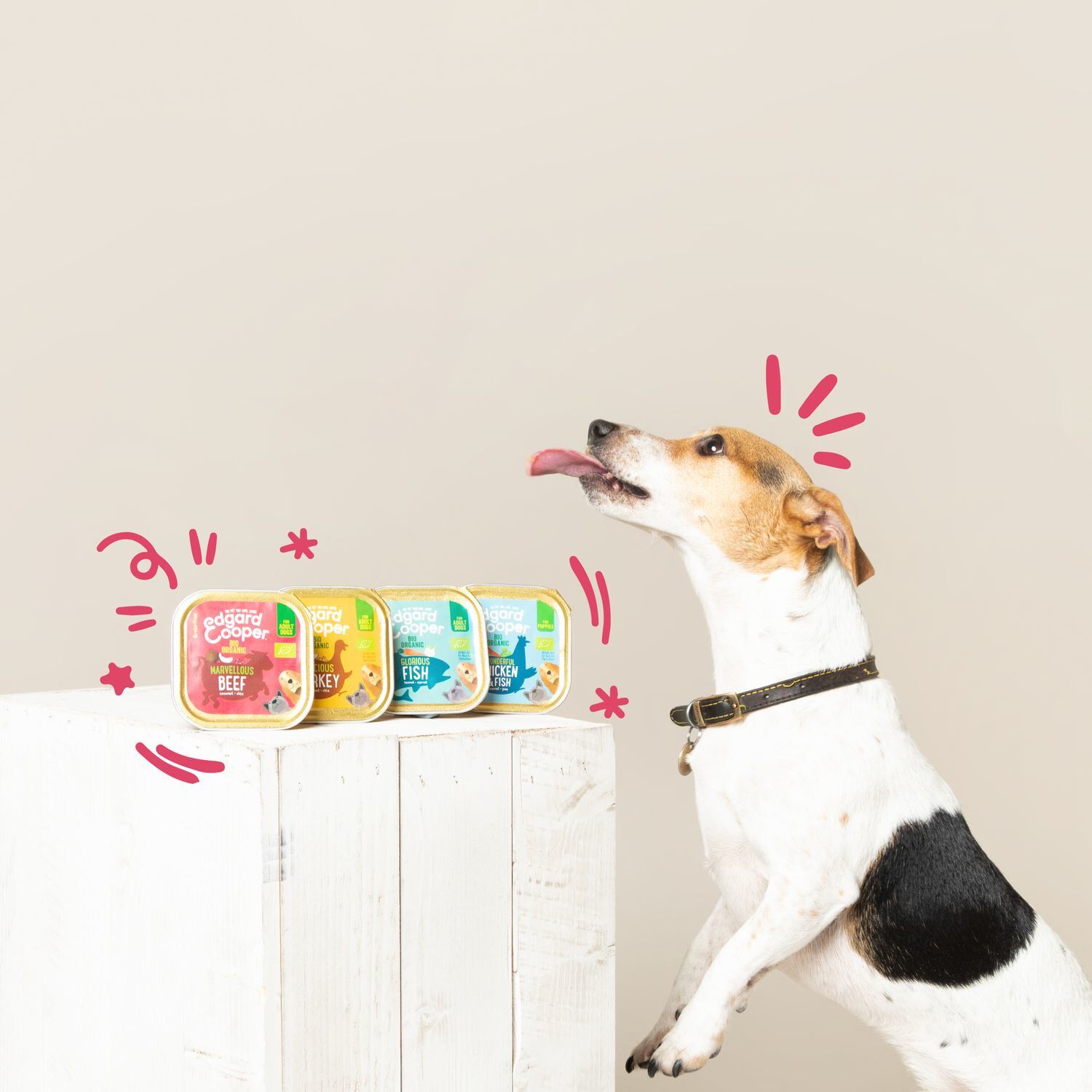 Edgard & Cooper - Barquette BIO &agrave; la Dinde avec Noix de Coco et Chia pour Chien - 100g Image num&eacute;ro 3