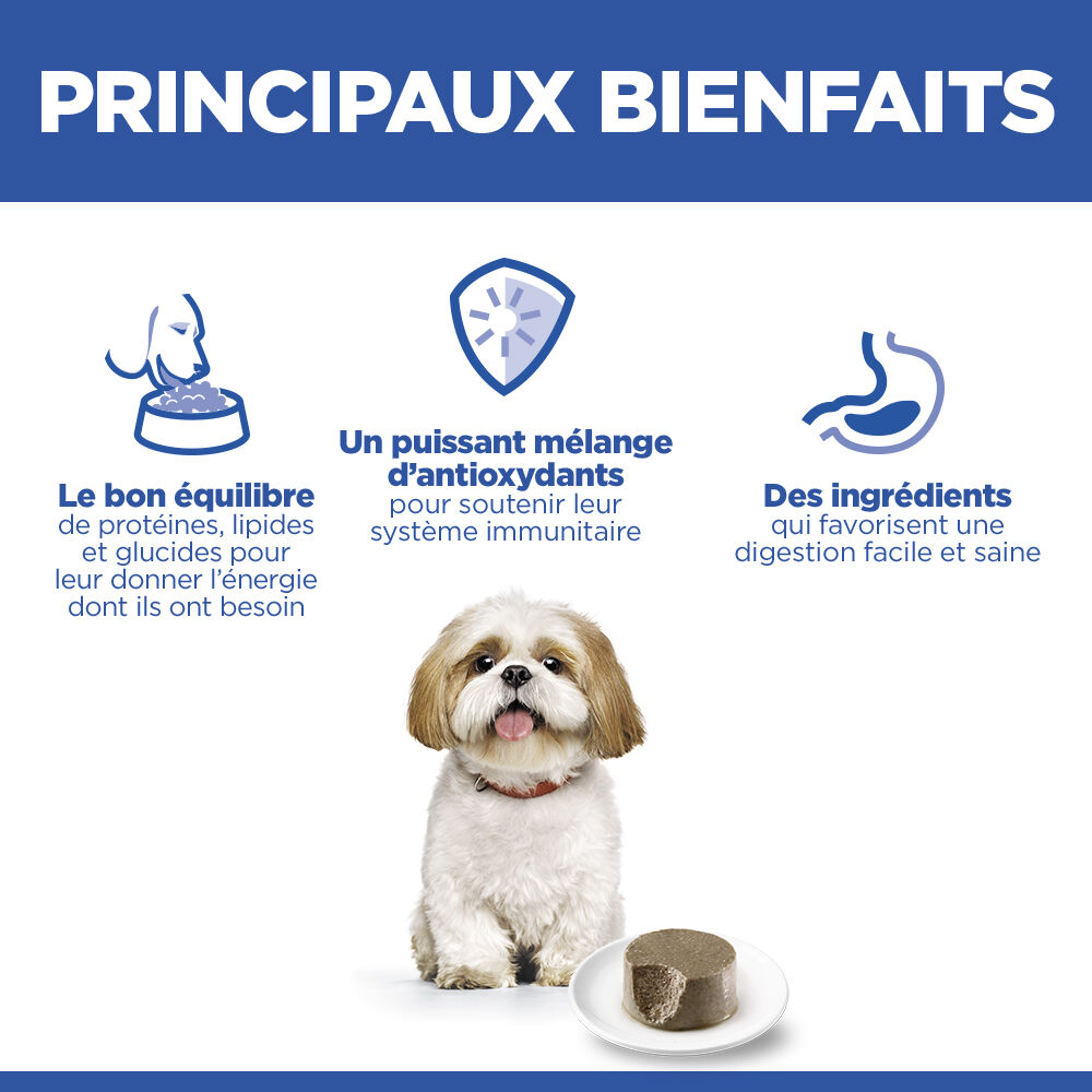 Hill's Science Plan - Mature Small&Mini Mousse Pour Chien Ag&eacute; De Petite Race B&oelig;uf  - 200g Image num&eacute;ro 7