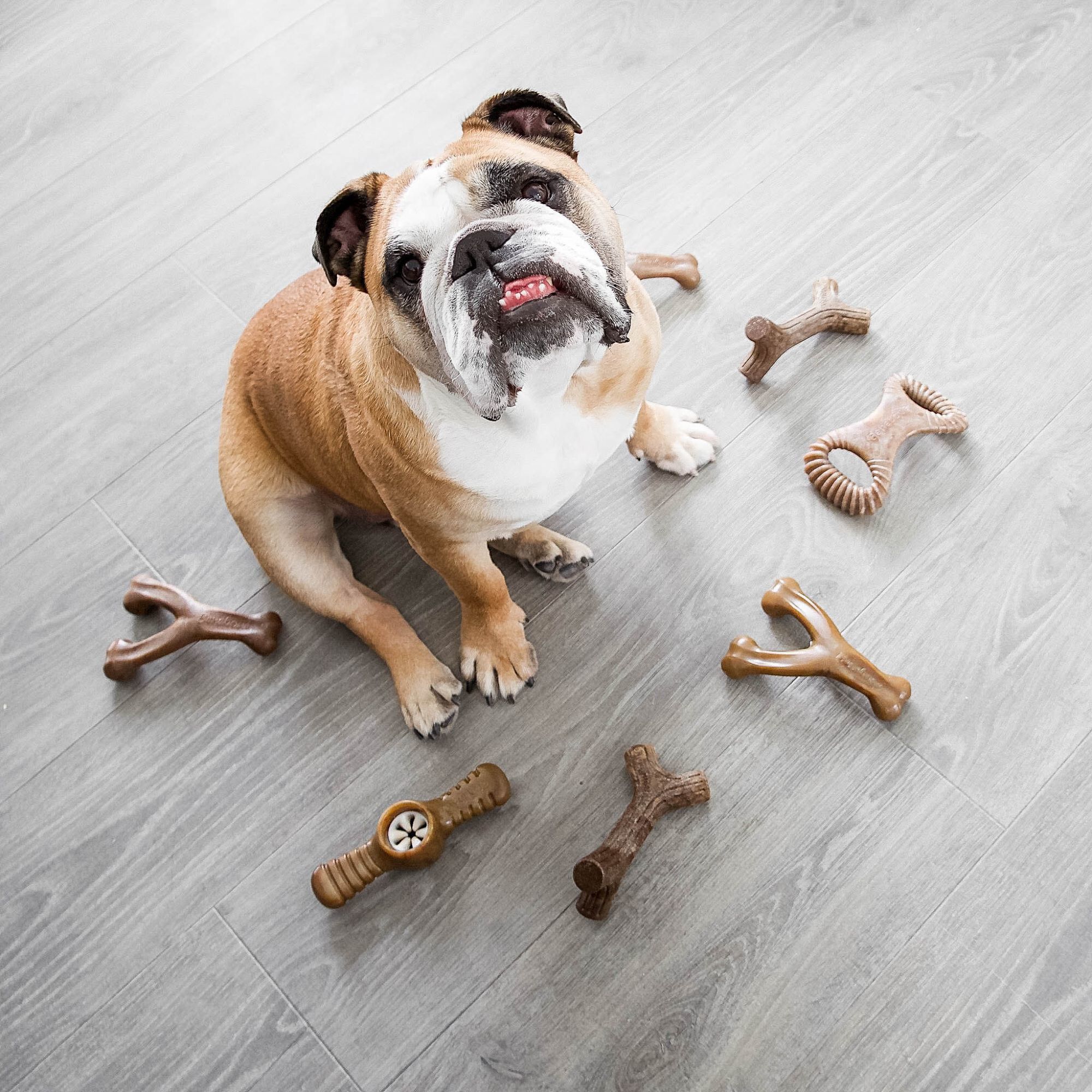 Benebone - Jouet Os A Macher Wishbone Bacon - L Image num&eacute;ro 4