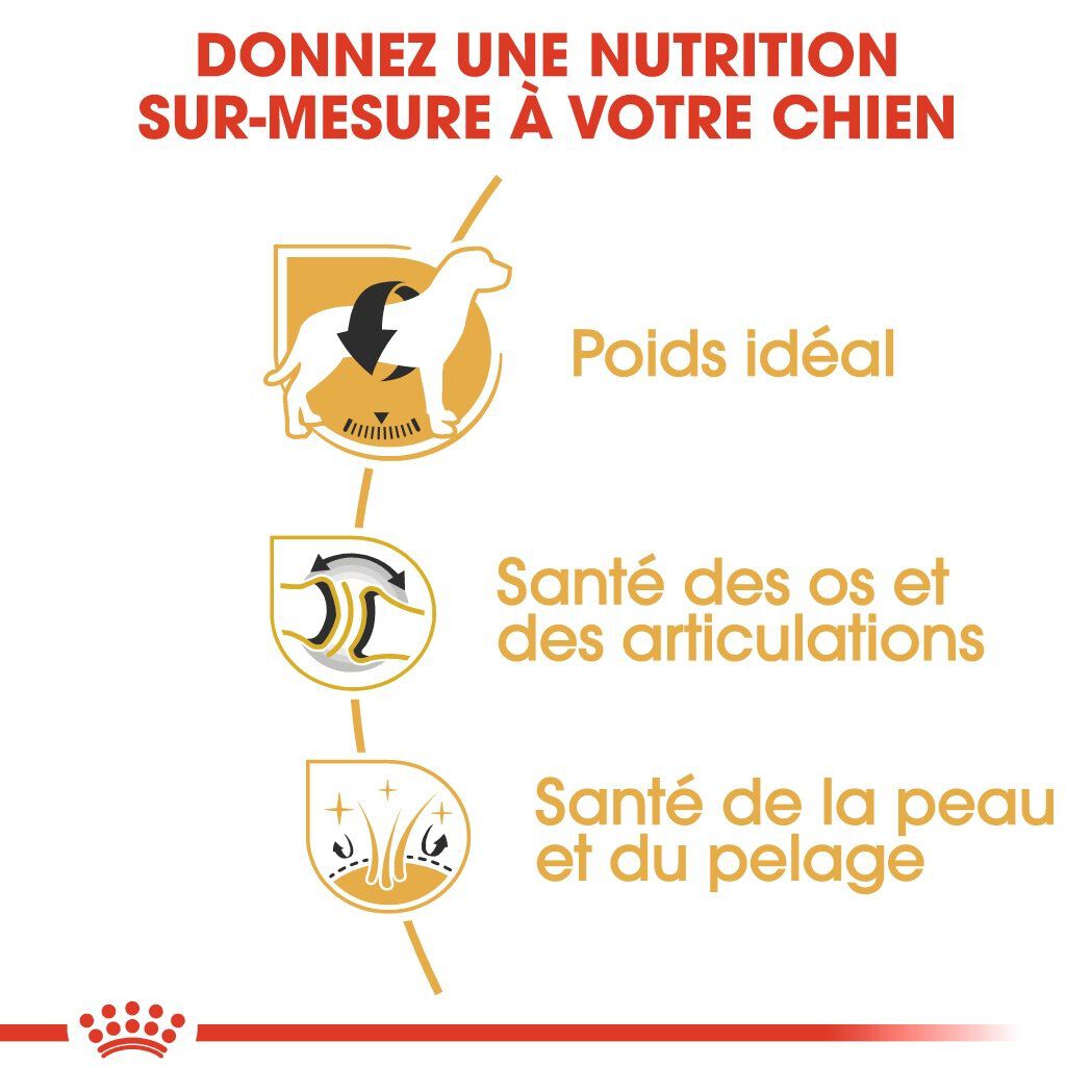 Royal Canin - Croquettes Labrador pour Chiens Adultes de plus de 15 Mois - 12Kg Image num&eacute;ro 5