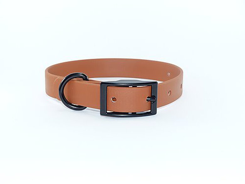 eKys - Collier Biothane 18mm pour Chien - Marron Clair image number null