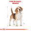 Royal Canin - Croquettes Beagle Adult pour Chien - 12Kg Indicateur image numéro 2