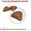 Royal Canin - Croquettes Hairball Care pour Chat - 400g Indicateur image num&eacute;ro 7