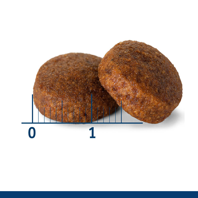 Nath - Croquettes Maxi Adult au Poulet Pour Chien - 3Kg Image num&eacute;ro 3