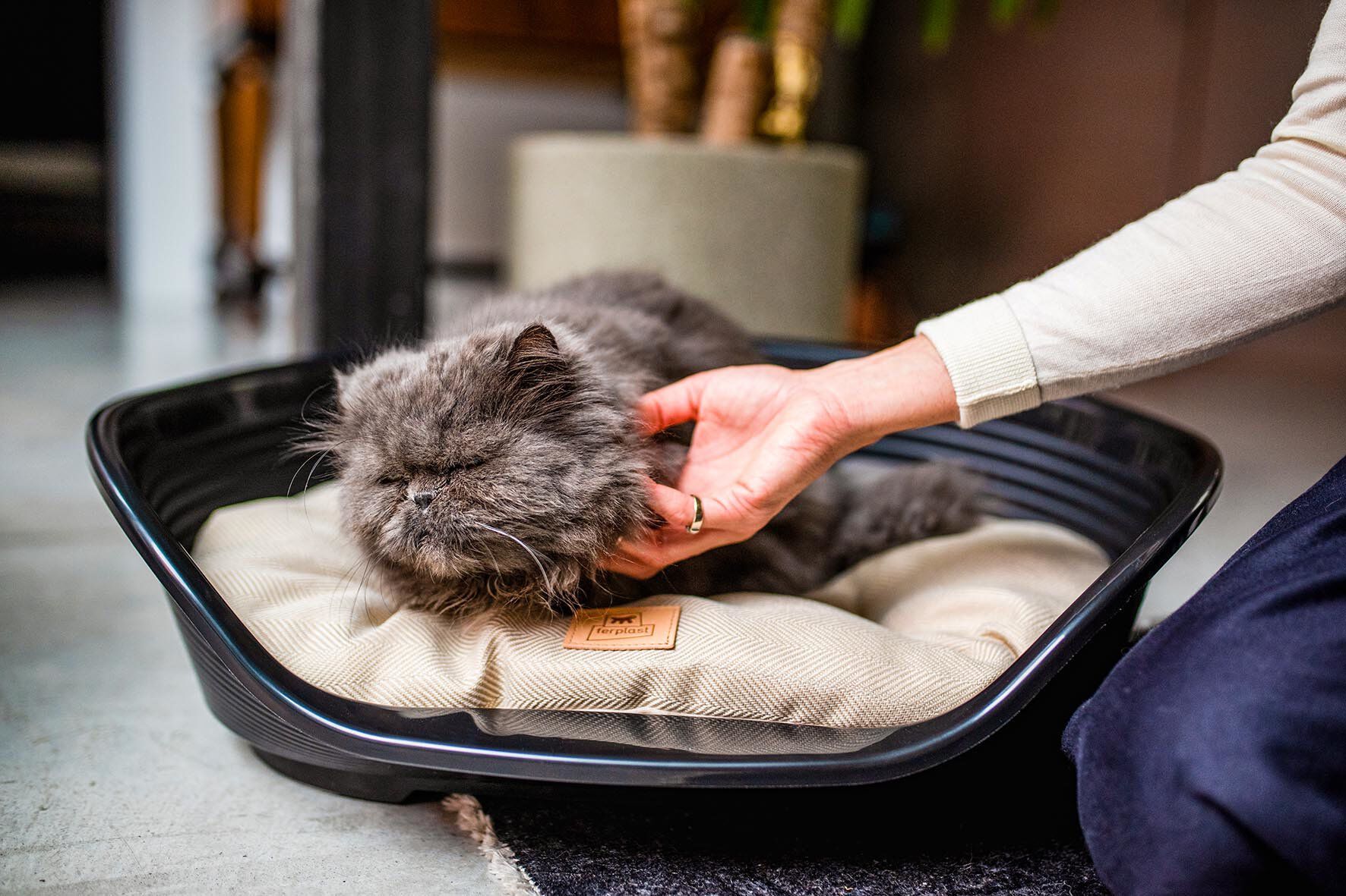 Ferplast - Corbeille Siesta Deluxe en Plastique Noir - 4 Image num&eacute;ro 4