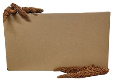 Octave Bauchant - Millet Rouge en Grappes Carton