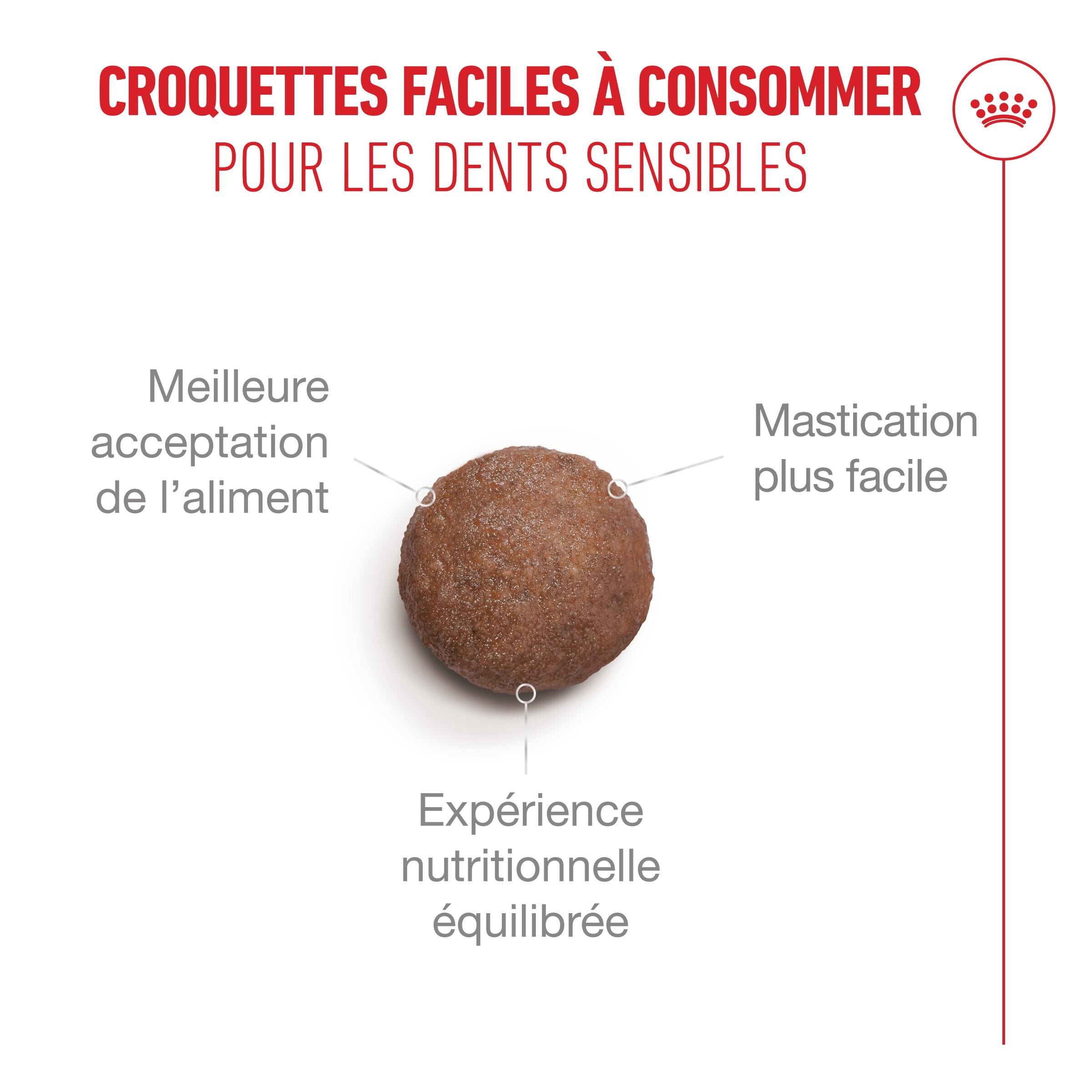Royal Canin - Croquette Ageing 11+ pour Chats Senior - 400g Image num&eacute;ro 7