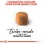 Royal Canin - Croquettes Maine Coon pour Chat Adulte - 10Kg Indicateur image numéro 4