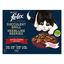 FELIX -  Pochons Succulent Grill Selection de la Campagne à la Viande en Sauce pour chats adultes  - 12X80g Indicateur image numéro 3