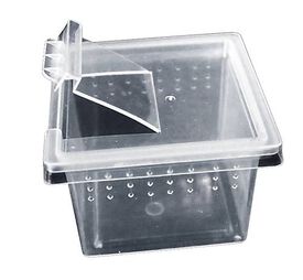 Reptiles Planet - Boite Elevage Reptiles ou Insectes XS  - 6,8x6,8x4,5cm