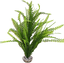 Labeo - Arbre assorti grand modèle - Plante Artificielle Aquarium Indicateur image numéro 7