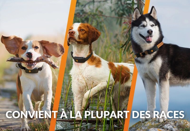 Weenect - Traceur GPS Weenect XT sans Collier pour Chiens - XT - Noir Image num&eacute;ro 3