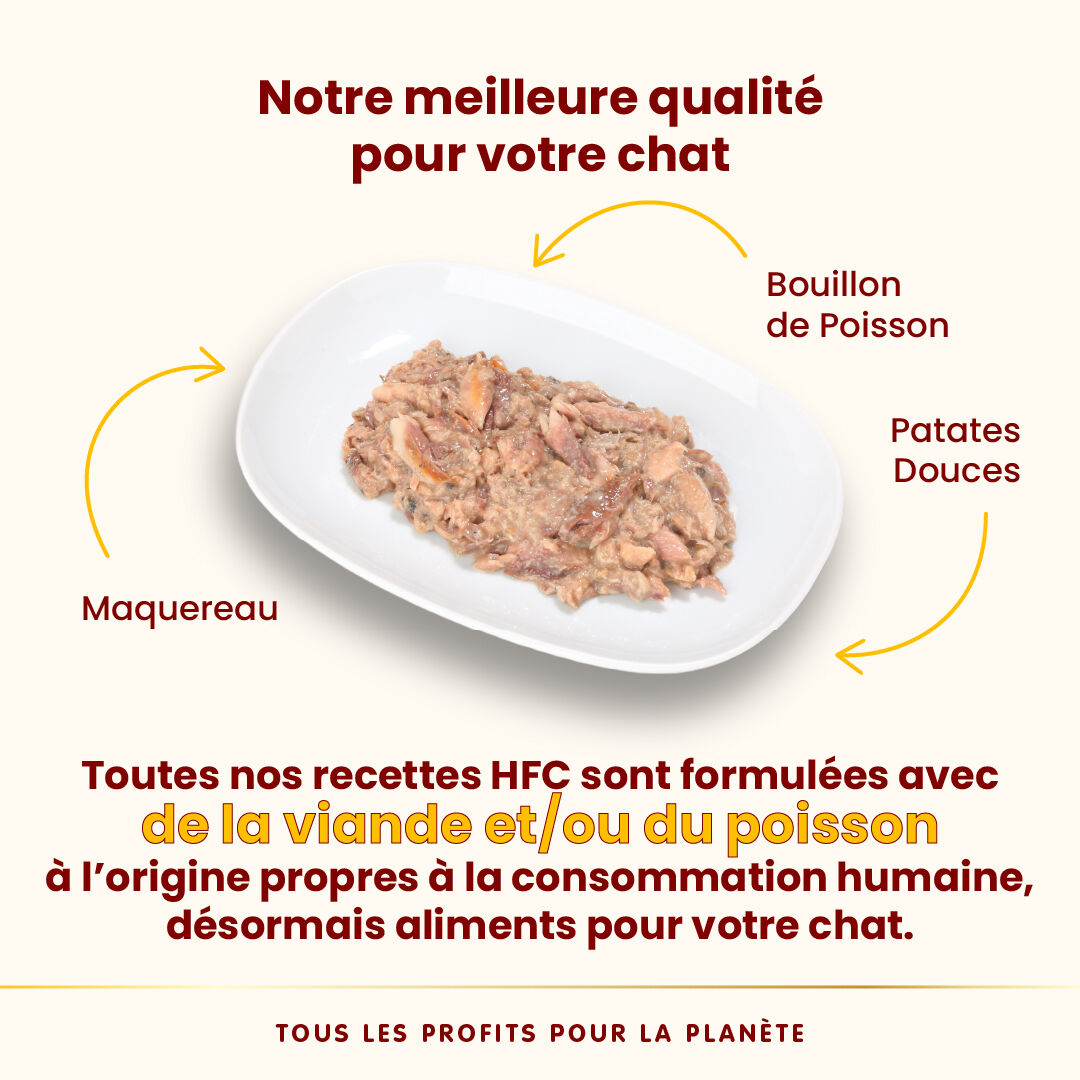 Almo Nature - P&acirc;t&eacute;e Hfc Complete Maquereau Et Pomme De Terre - 70g Image num&eacute;ro 4