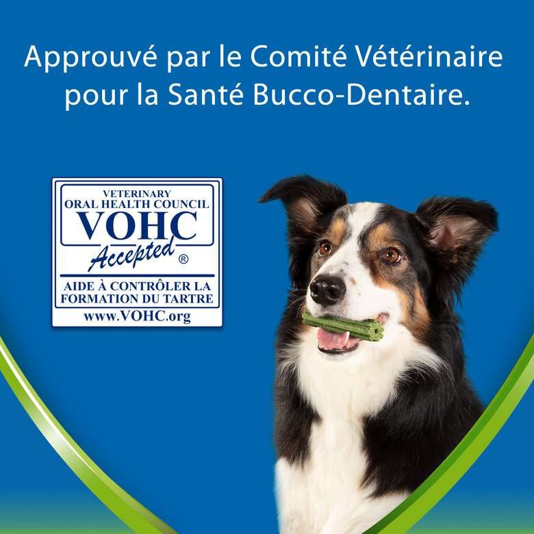 DENTALIFE - Friandises à mâcher ACTIVFRESH bucco-dentaire pour Petits Chiens - 115g Image numéro 3 DENTALIFE - Friandises à mâcher ACTIVFRESH bucco-dentaire pour Petits Chiens - 115g Image numéro 3