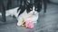 Tyrol - Jouet Souris Rose pour Chat - 7cm Indicateur image numéro 4